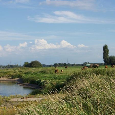 "Ferienwohnung Am Schloss" - Ferienwohnung Mit Blick Auf Das Barbyer Schloss, 5 Gehminuten Bis Zur Elbe Zewnętrze zdjęcie